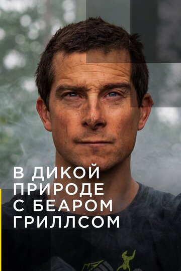 Смотреть В дикой природе с Беаром Гриллсом (2014) онлайн в Хдрезка качестве 720p