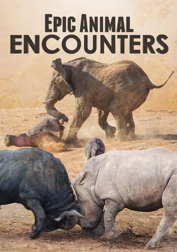 Смотреть Epic Animal Encounters (2019) онлайн в Хдрезка качестве 720p