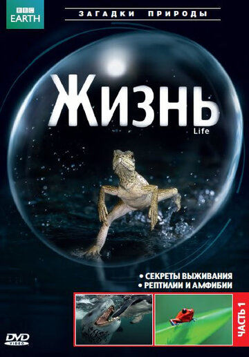 Смотреть BBC: Жизнь (2009) онлайн в Хдрезка качестве 720p